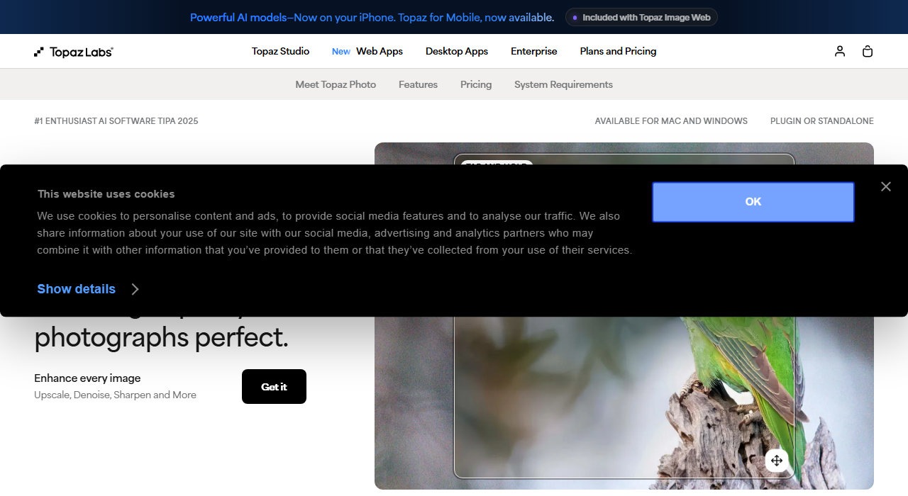 Topaz Photo AI product page headlined Make high-quality photographs perfect, with Enhance every image, Upscale Denoise Sharpen and More, and a Get it button, badged number 1 Enthusiast AI Software TIPA 2025
